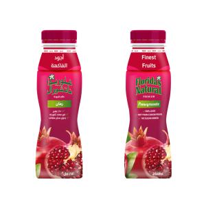 Florida – Pomegranate Juice 250ml