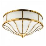 Decorative Flush Ceiling Light (X0752)
