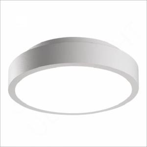 Surface-Mounted LED Ceiling Light 18W (5762)