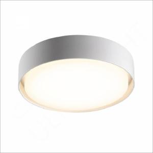 Surface‑Mounted LED Ceiling Light 19W (H1331)