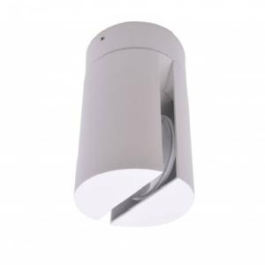 Surface Cylinder LED Ceiling Light (H1965)