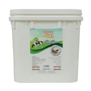 White Cheese Feta (Tojan)